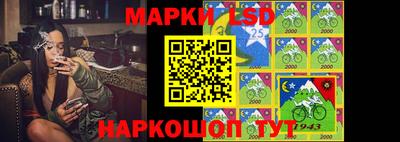 винт Будённовск
